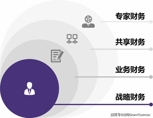 图解 关于中央企业加快建设世界一流财务管理体系的指导意见