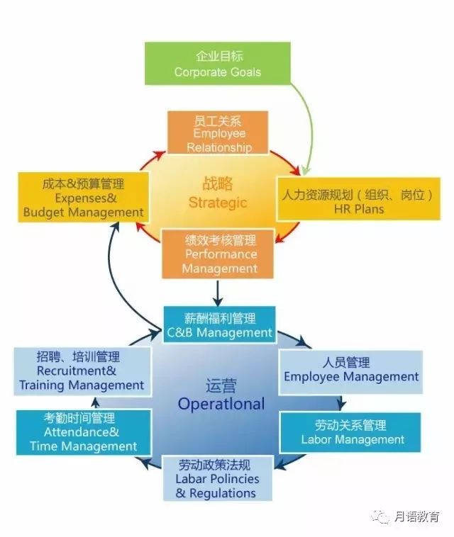 2019年企业人力资源管理师(政府补贴,保过培训,不过退费)